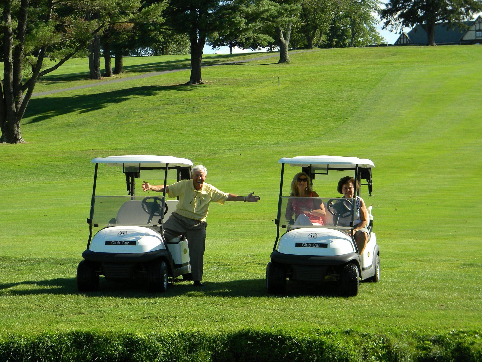 Minasian_Halloran_carts